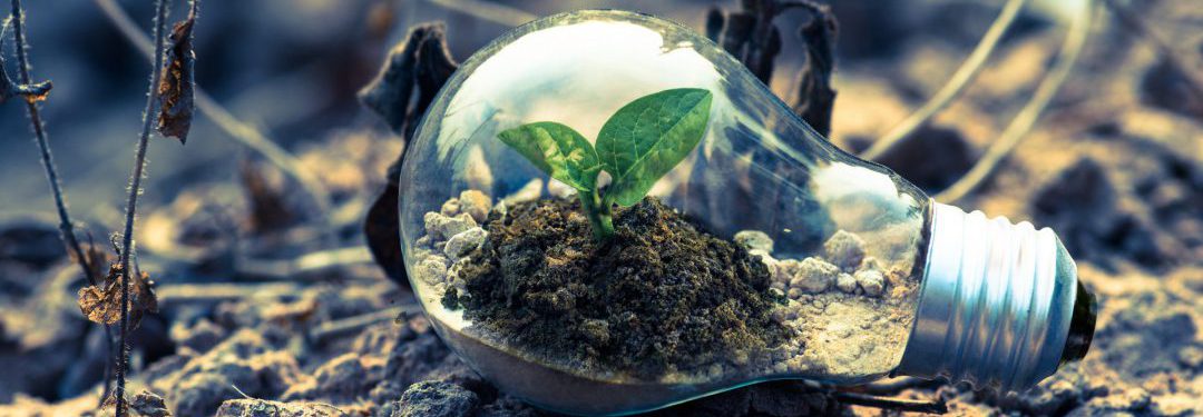 sustainable business ideas